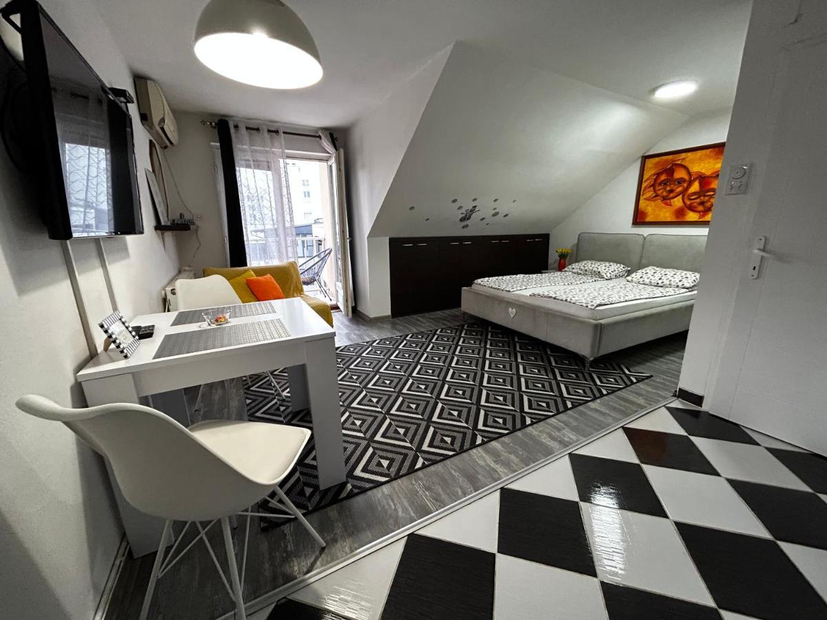 Marina Penthouse Apartment โนวีซาด ภายนอก รูปภาพ